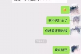 日土为什么选择专业追讨公司来处理您的债务纠纷？